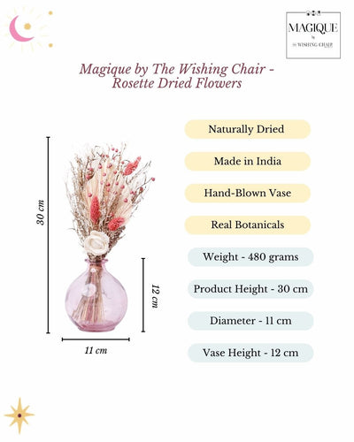 Magique by The Wishing Chair - Rosette Dried Flowers & Glass Vase