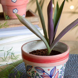 Magnolia Sky Handpainted Planter