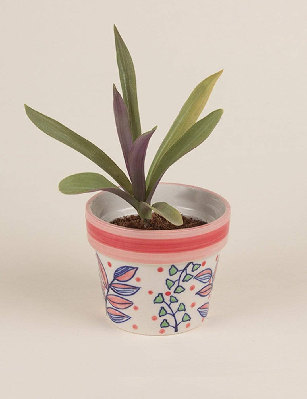Magnolia Sky Handpainted Planter