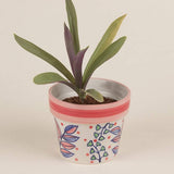 Magnolia Sky Handpainted Planter