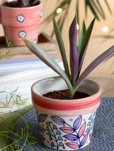 Magnolia Sky Handpainted Planter