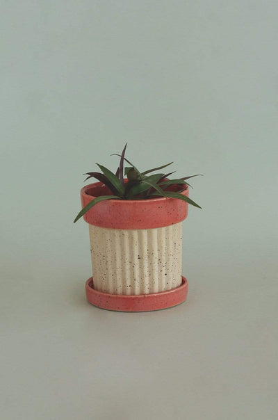 Medium Crinkle Pop Ceramic Planter with Plate