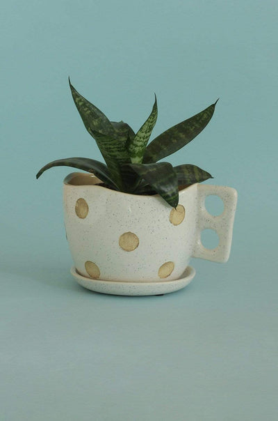 Medium Madhatter Polka Dot Teacup White Planter