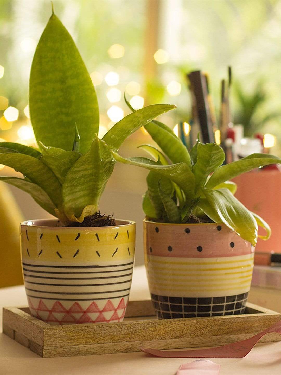 Mix & Match Patterns Planter - Set Of 2