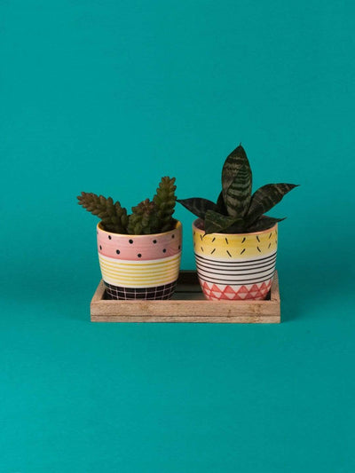 Mix & Match Patterns Planter - Set Of 2