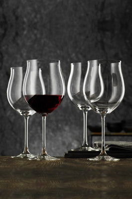 Nachtmann Vivendi Burgundy Set of 6