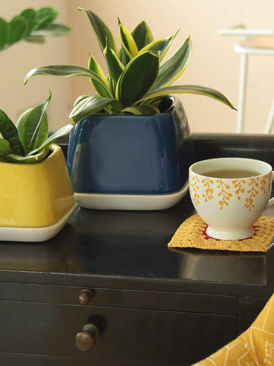 Nova Ceramic Planter