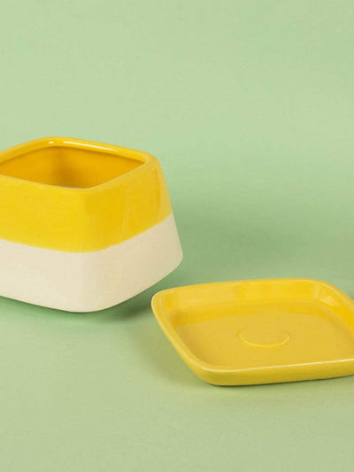 Nova Half N Half Ceramic Planter