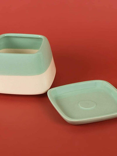 Nova Half N Half Ceramic Planter