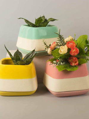 Nova Half N Half Ceramic Planter