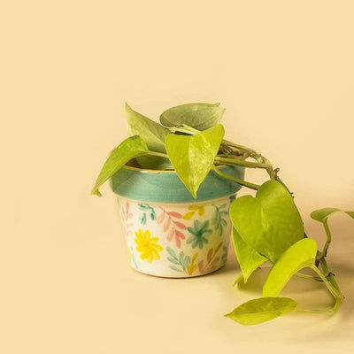 Pastel Perfection Planter - Flowers