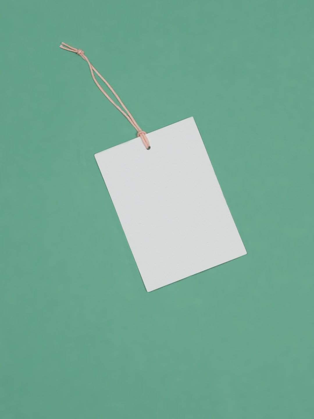 Pressed Flower Tags-raspberry - Set Of 6