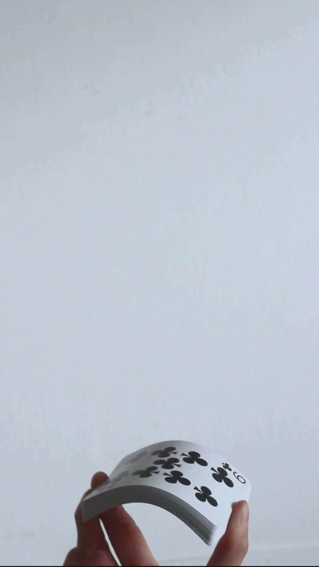 His Lordship Ceramic Mug