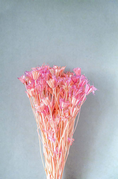 Serenique Natural Dried Flowers Bouquet - 50cm
