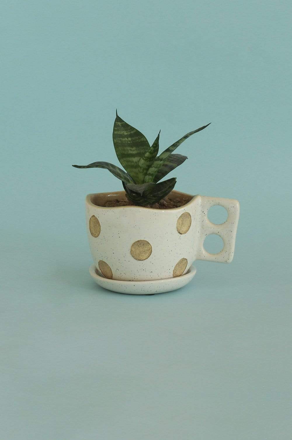 Small Madhatter Polka Dot Teacup White Planter