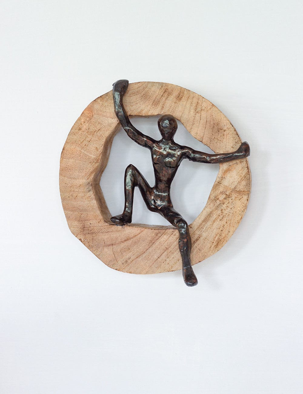 Soar Wood & Metal Wall Décor Frame