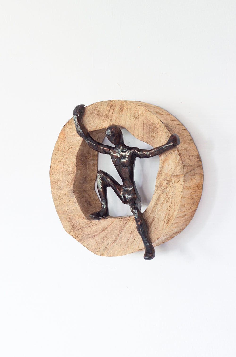 Soar Wood & Metal Wall Décor Frame