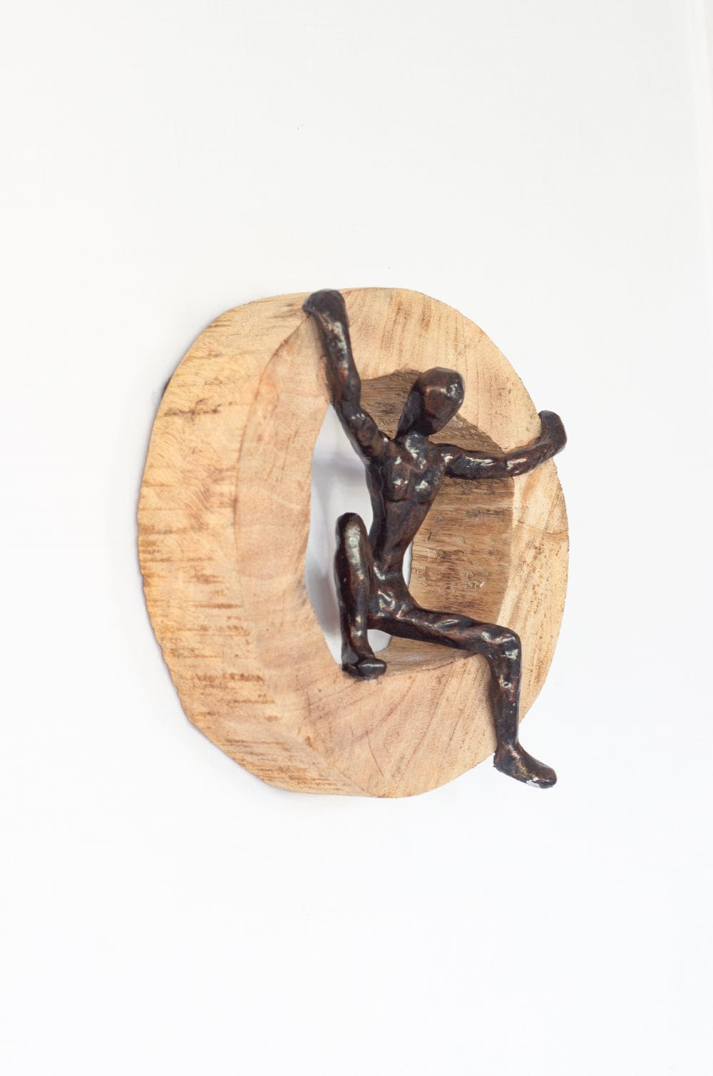 Soar Wood & Metal Wall Décor Frame