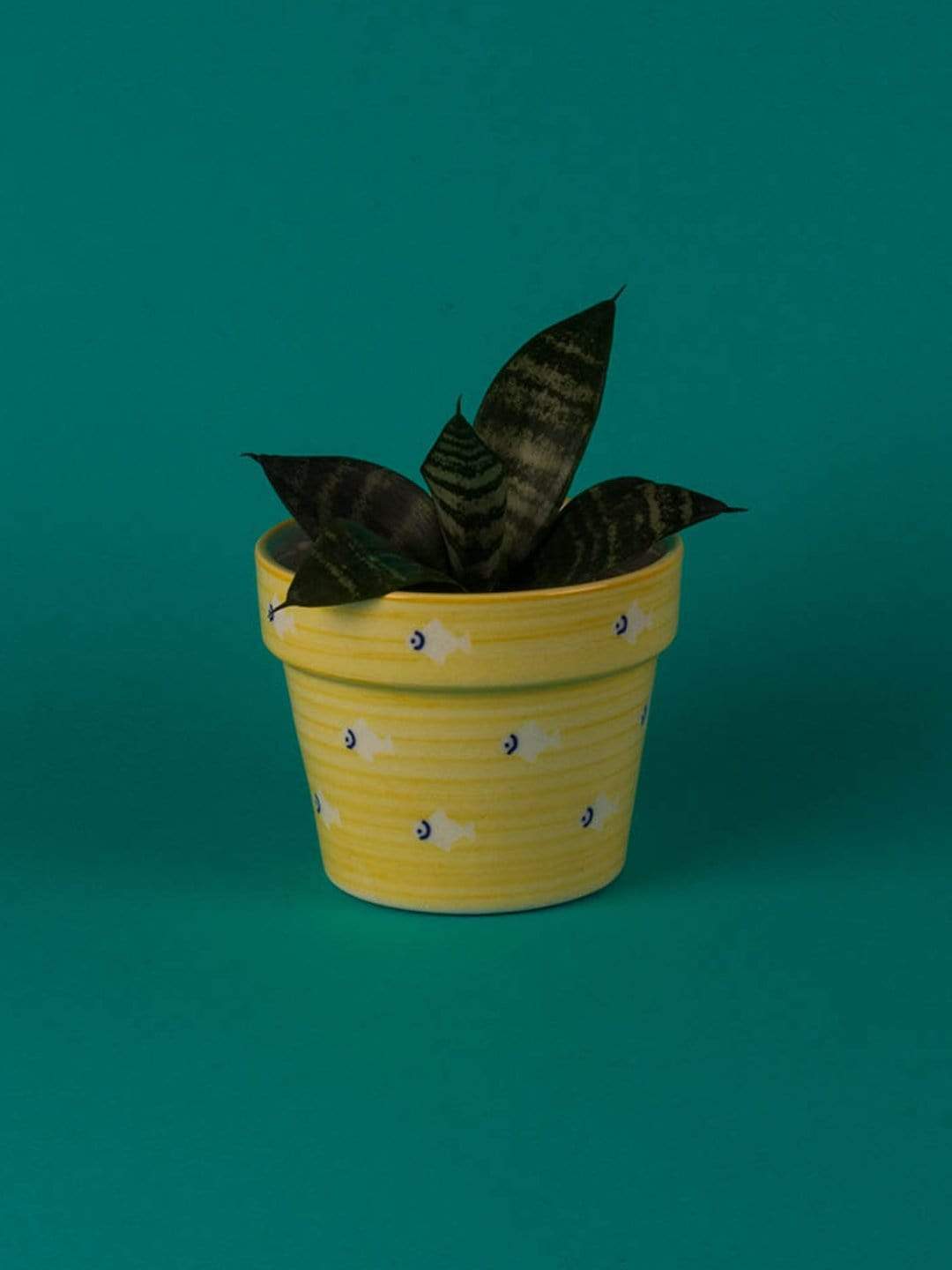 Stencil Planter- Fish