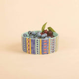 Stripe Nut Bowl