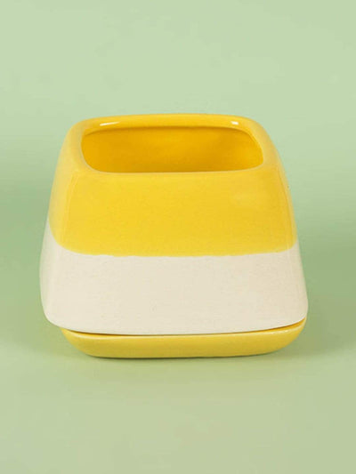 Tangelo Nova Half N Half Ceramic Planter