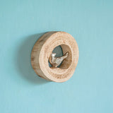  Tweety - Little Log Wall Art - Tweety - Little Log Wall Art - The Wishing Chair 