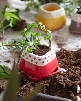 Vases & Planters Bright Red Nova Hearts Ceramic Planter