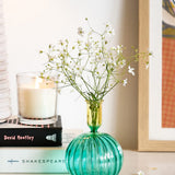 Vases & Planters Ele Borosilicate Glass Vase