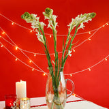Vases & Planters Nava Glass Vase