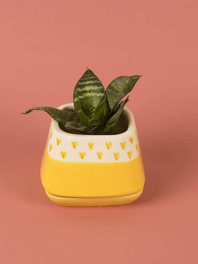 Vases & Planters Nova Hearts Ceramic Planter