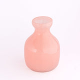 Vases & Planters Potli Glass Vase