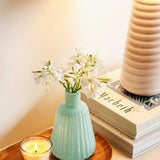Vases & Planters Raah Mini Glass Vase