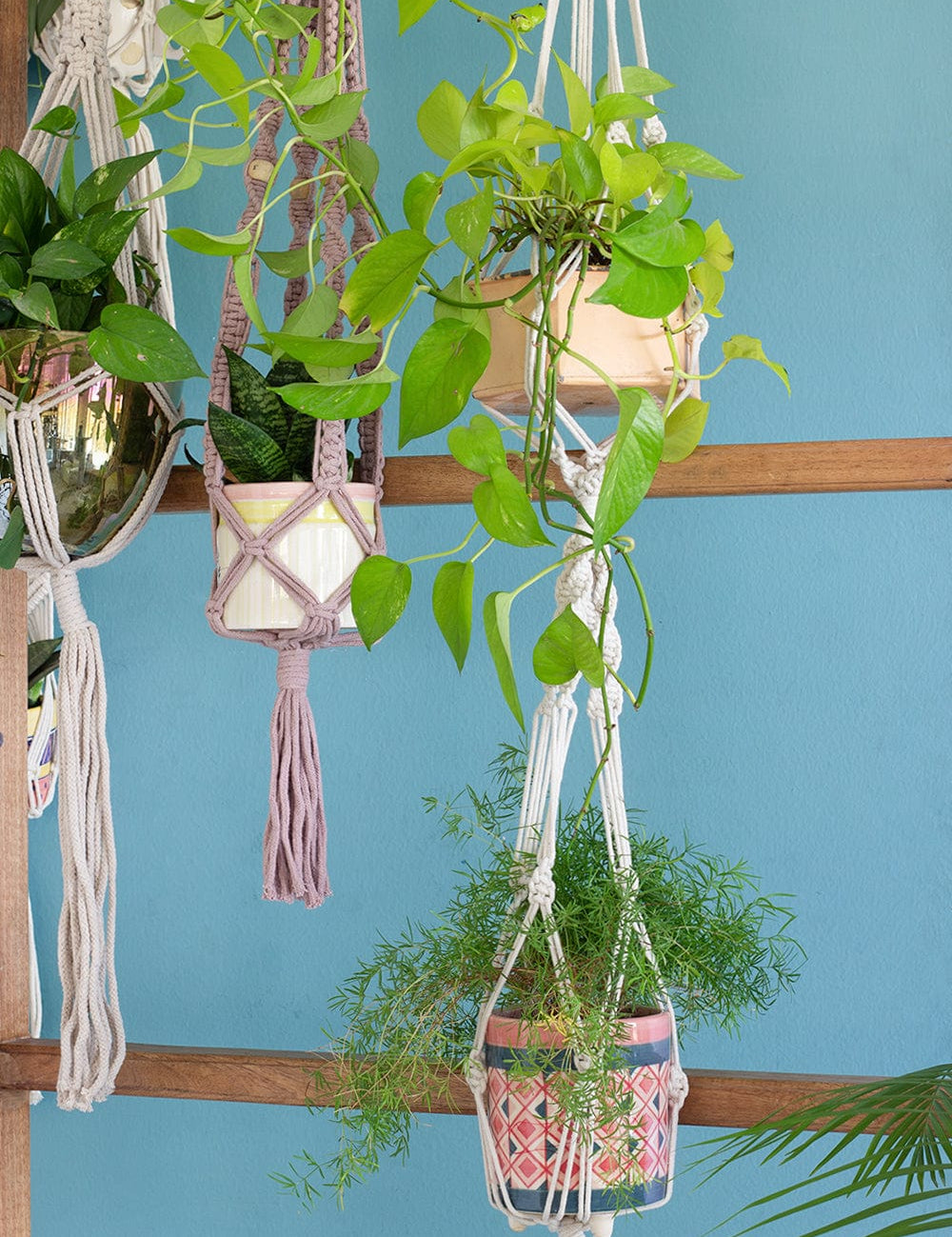 Two is Company Macrame Knotted Planter Hanging - The Wishing Chair
