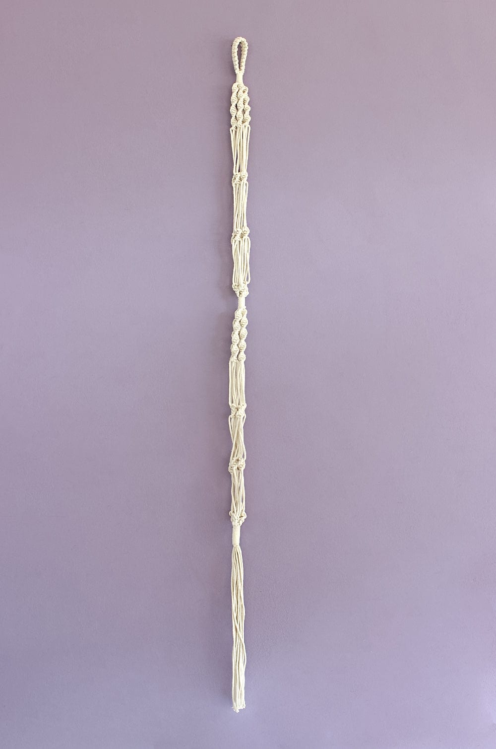 Two is Company Macrame Knotted Planter Hanging - The Wishing Chair