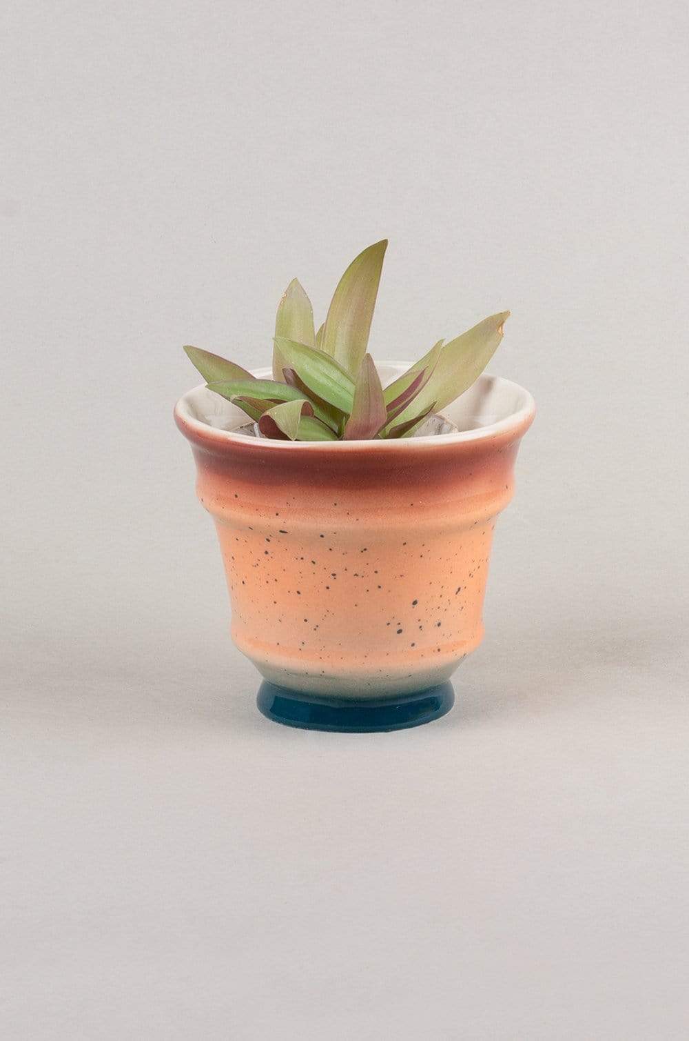Bella Ceramic Planter