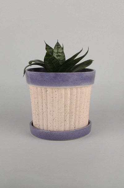 Crinkle Pop Ceramic Planter with Plate