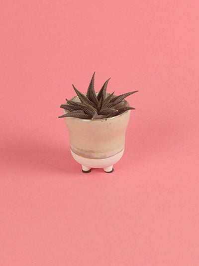 Enoki Ceramic Planter- Small