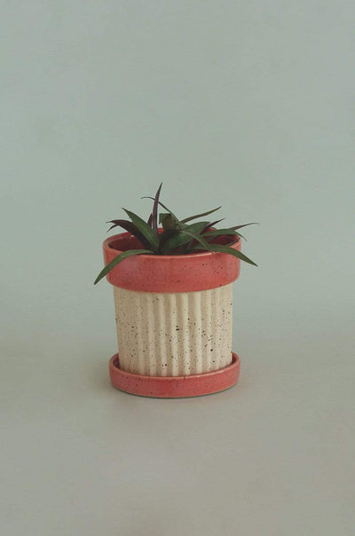 M Crinkle Pop Ceramic Planter with Plate