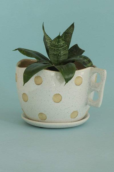 Madhatter Polka Dot Tea Cup White Planter