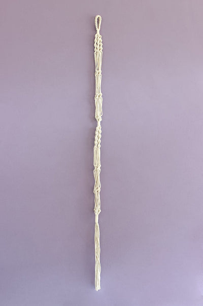 Two is Company Macrame Knotted Planter Hanging
