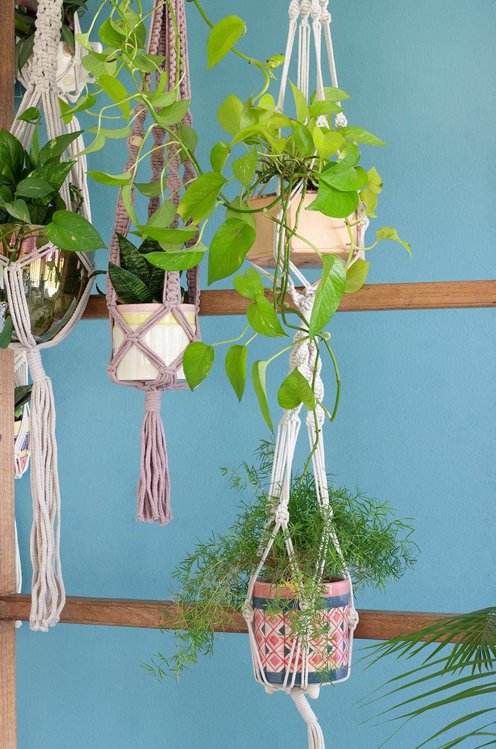 Two is Company Macrame Knotted Planter Hanging