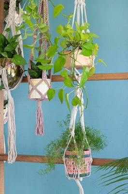   Two is Company Macrame Knotted Planter Hanging - Two is Company Macrame Knotted Planter Hanging - The Wishing Chair  - Two is Company Macrame Knotted Planter Hanging - The Wishing Chair 