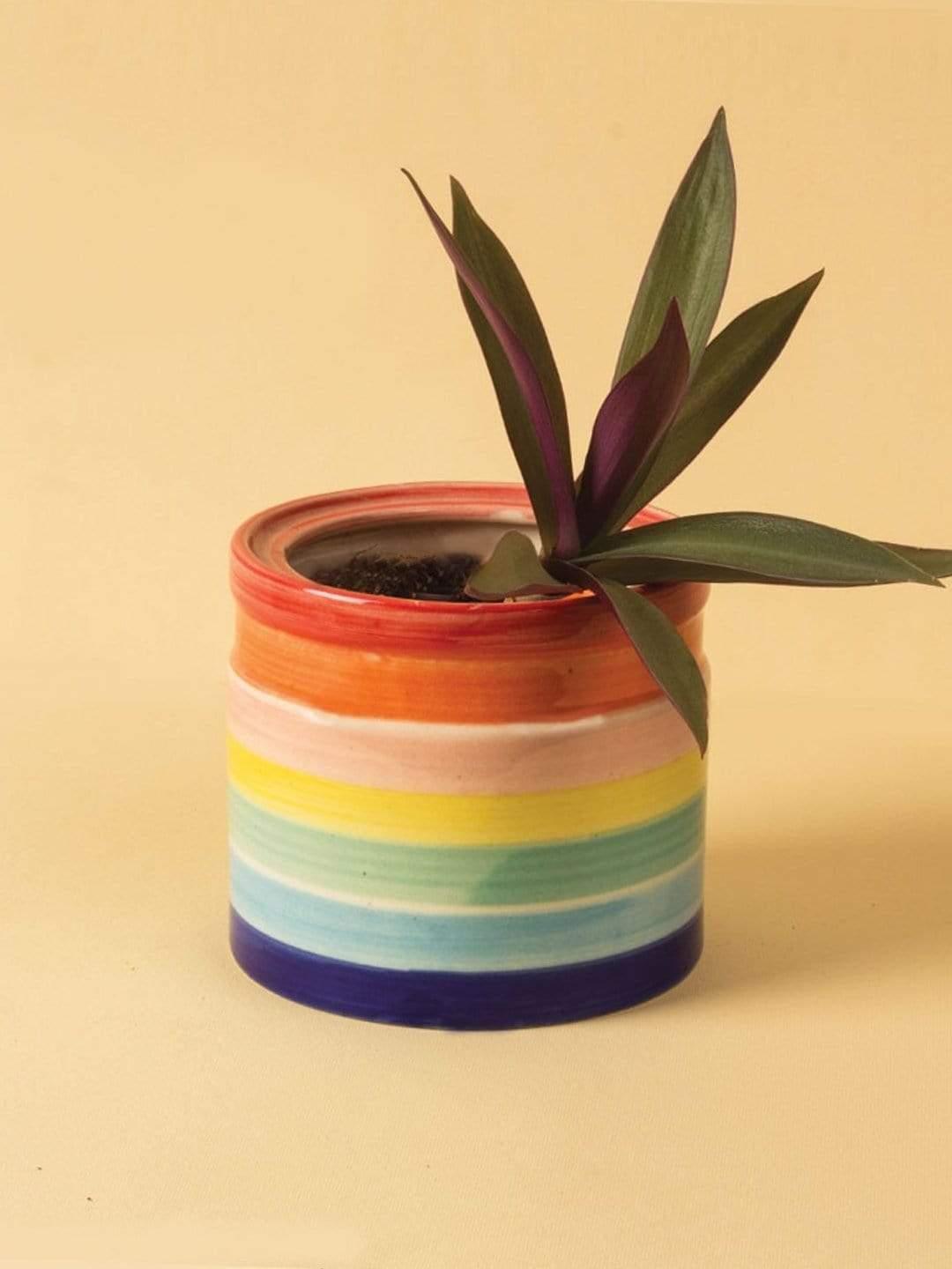 Band Of Color Planter - The Wishing Chair