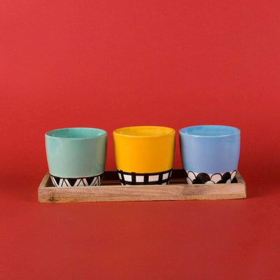 Color Blocked Planters with Tray - Set of 3