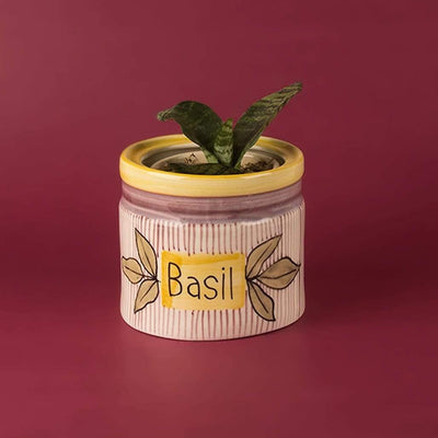 Herb Planter- BasilABOUT: What’s cooking good looking? At The Wishing Chair, the elves are all in a tizzy because their herb gardens are finally in bloom! And where’s the fun in going Herb Planter- Basil