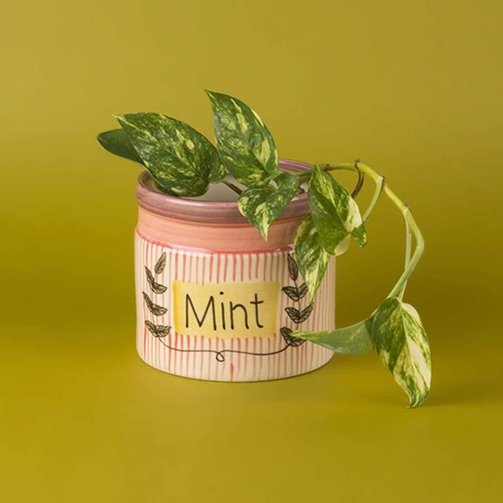 Herb Planter- MintABOUT: What’s cooking good looking? At The Wishing Chair, the elves are all in a tizzy because their herb gardens are finally in bloom! And where’s the fun in going Herb Planter- Mint