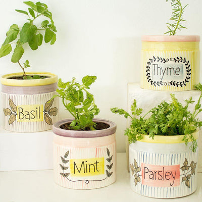 Herb Planter - ParsleyABOUT: What’s cooking good looking? At The Wishing Chair, the elves are all in a tizzy because their herb gardens are finally in bloom! And where’s the fun in going Herb Planter - Parsley