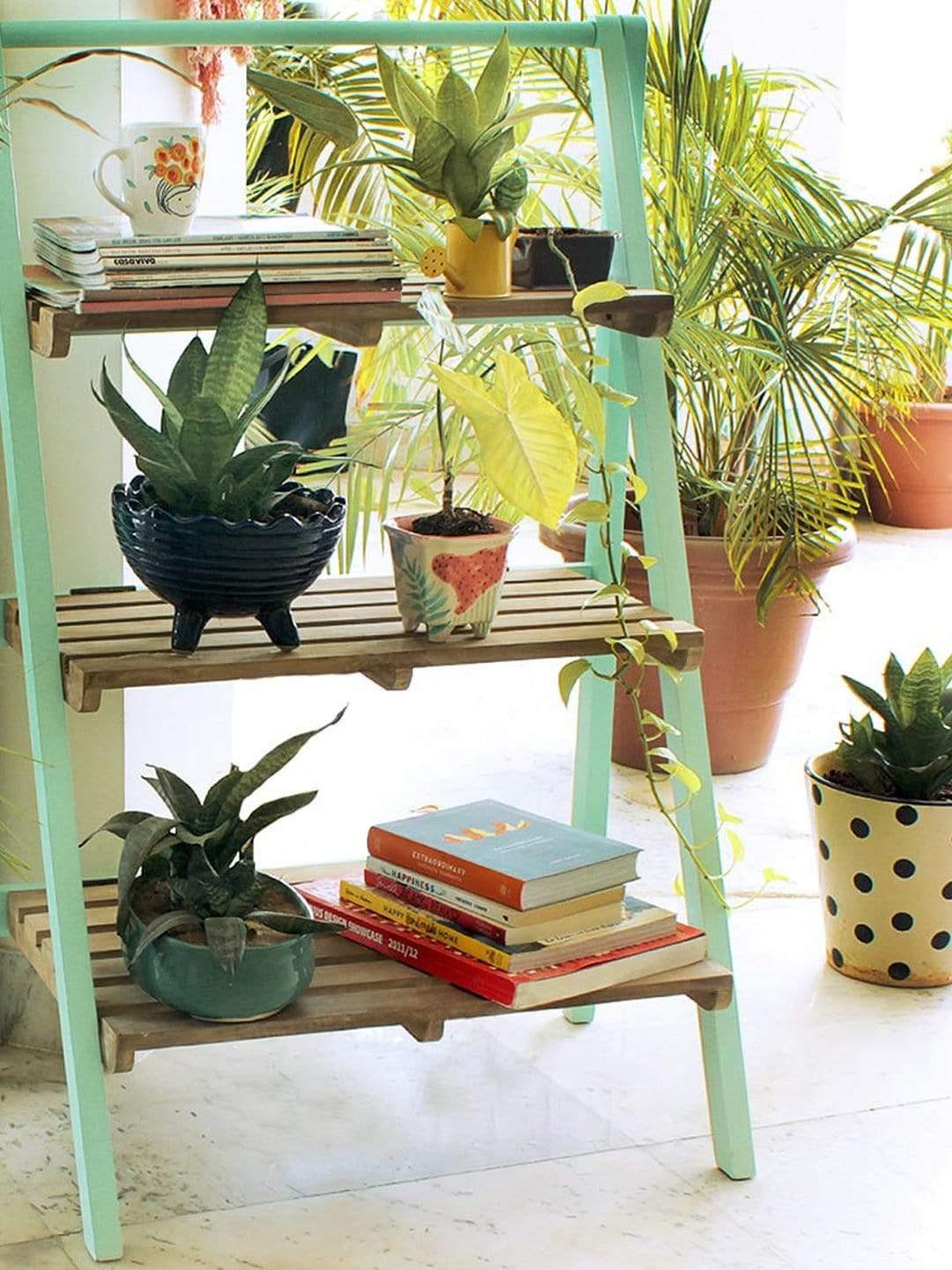 I Beg Your Garden 3 Shelves Rack - The Wishing Chair