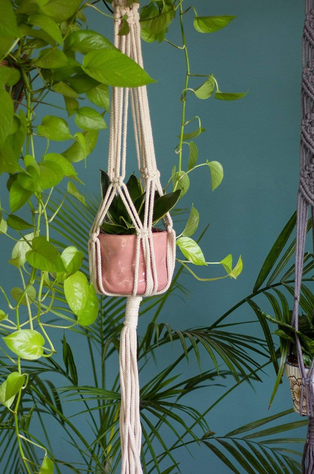 Knotted Planter Hanging