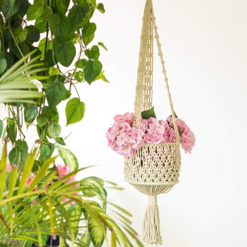 Macrame Planter BasketFrequently Asked Questions about this product:
Q. Why Should I buy this - I have black thumbs!
A. Not into gardening ? Swap out the money plant for keys, your desk jMacrame Planter BasketThe Wishing Chair